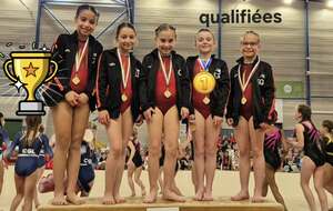 Compétition Régional Jeunes GAF Martignas